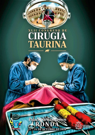 Ronda, Laboratorio de la Cirugía Taurina